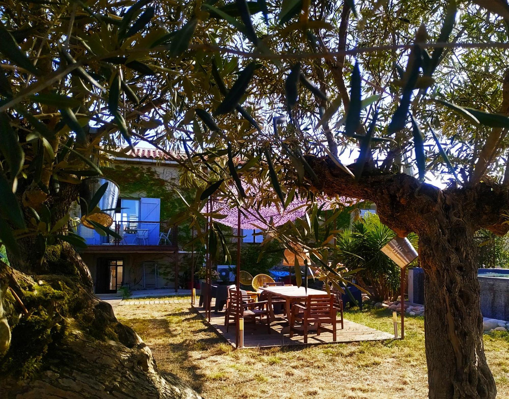 Les Grands Cypres - Chambres D'Hotes Conques-sur-Orbiel Zewnętrze zdjęcie